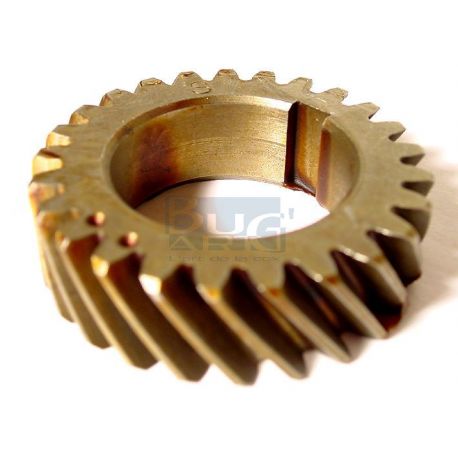 PIGNON VILEBREQUIN ARBRE A CAMES