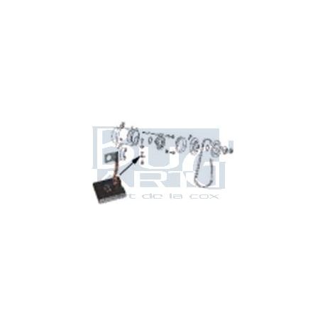 CHARBONS 12V ALTERNATEUR paire