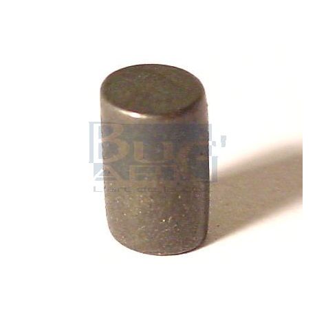 PIONS VOLANT MOTEUR  ET LARGE (8)