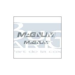 AUTOCOLLANTS MAGNUM 2pc