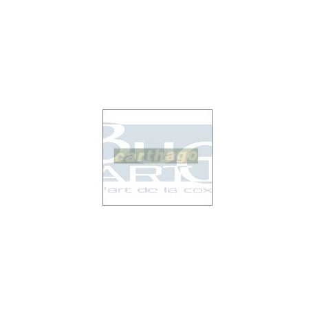 AUTOCOLLANT CARTHAGO blanc