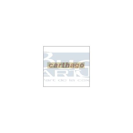 AUTOCOLLANT CARTHAGO rouge