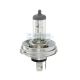 AMPOULE 6V 55/60W pièce