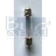 AMPOULE PLAFONNIER 6V 5W 6x31mm T2-67