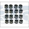 CACHES BOULONS 19mm CHROME (20)