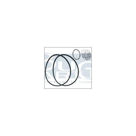 JOINTS FEUX ARR.1303/1200 74- paire WCM