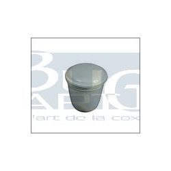 BOUTON TABL. DE BORD GRIS 3mm