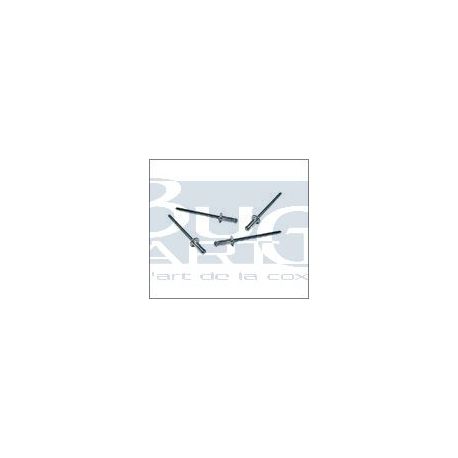 RIVETS,FERM.DEFL.CABR.68- set de 4