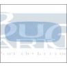 LUNETTE ARRIERE CABRIO 64-73